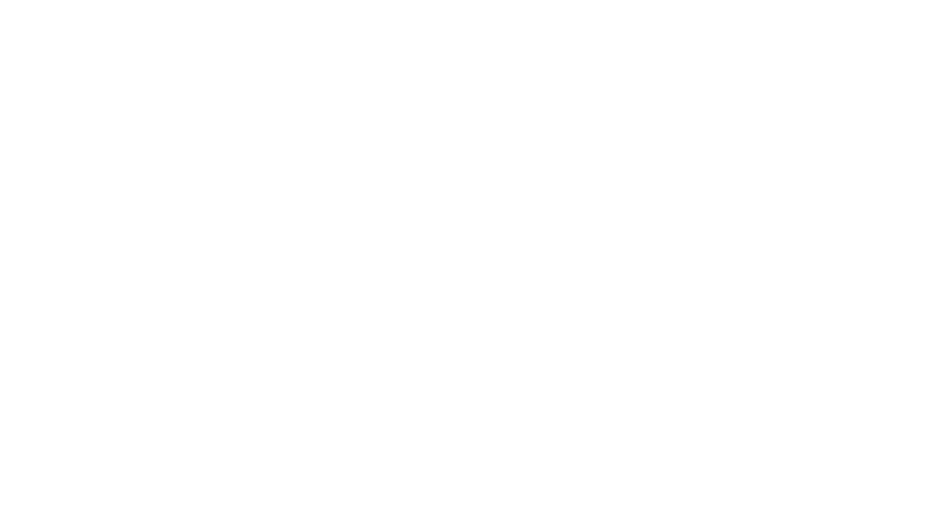 B2Way de Pliss Group